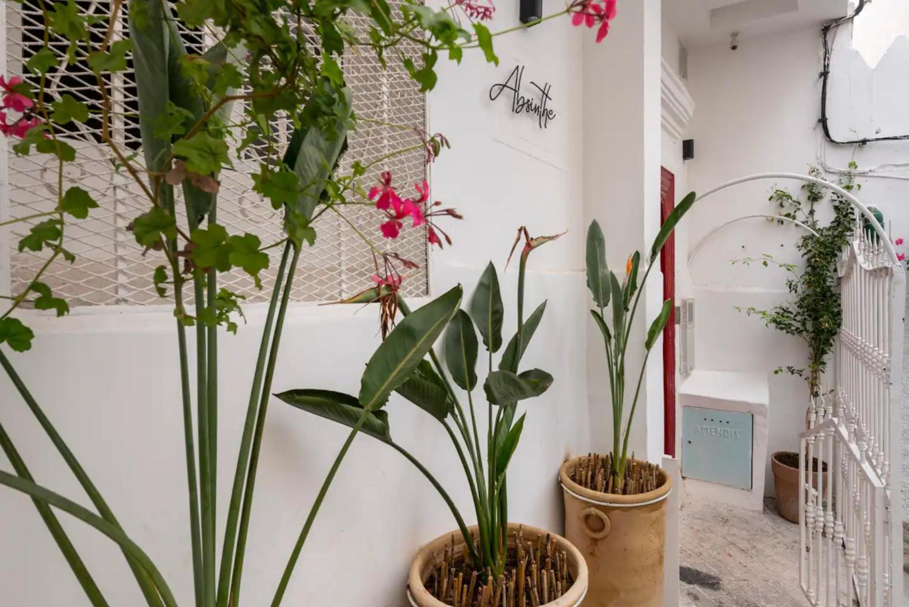 Absinthe Guest House Tanger Ngoại thất bức ảnh